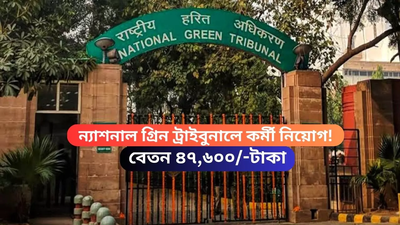 National Green Tribunal Recruitment 2025
