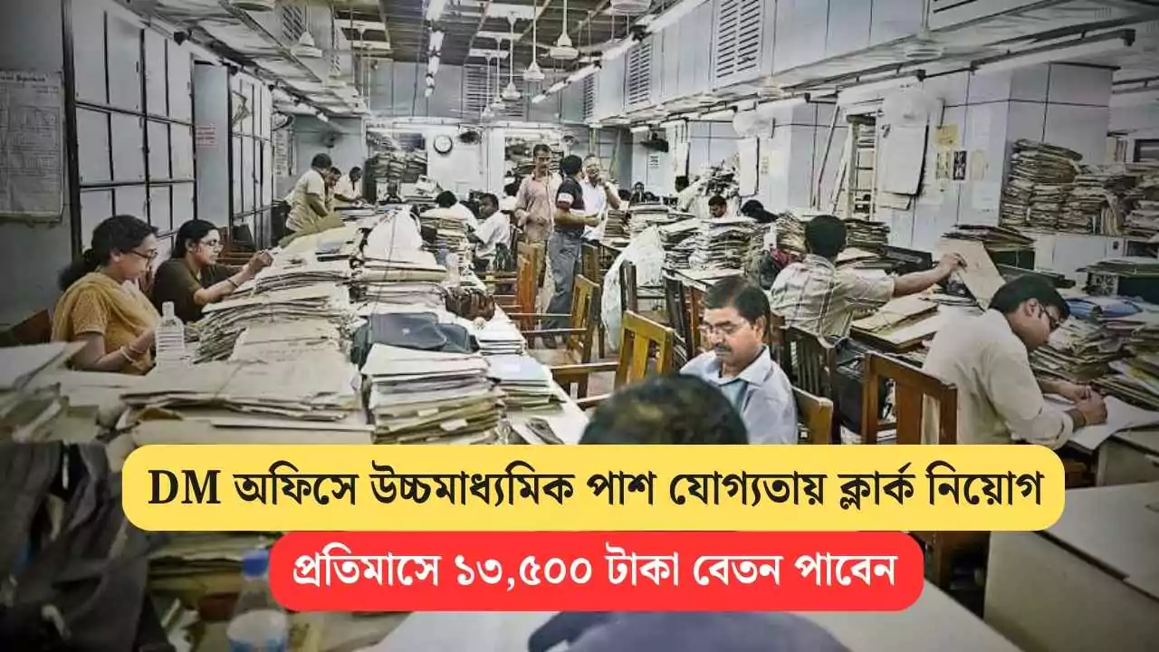 DCPU Job Vacancy 2025